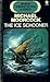 The Ice Schooner