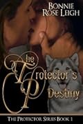 The Protector's Destiny