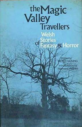 The Magic Valley Travellers: Welsh Stories of Fantasy and Horror (Hardcover)