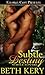 Subtle Destiny (Subtle Lovers, #4)