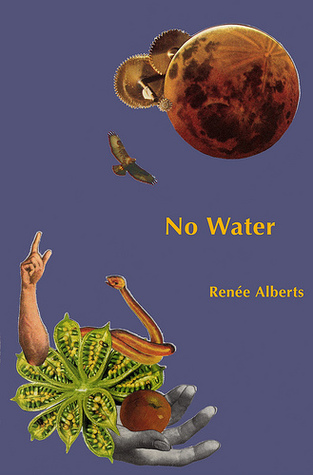 No Water (Unknown Binding)