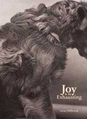 Joy Is So Exhausting (Paperback)