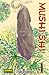 Mushi-shi #1 (Mushishi, El ...