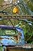 Where the Dog Star Never Glows by Tara Lynn Masih