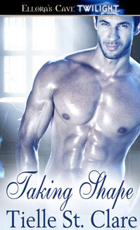 Taking Shape (ebook)