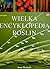 Wielka encyklopedia roślin