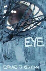 Eye (Hardcover)