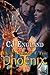 Don't Tempt The Phoenix (Don't Series, #2)