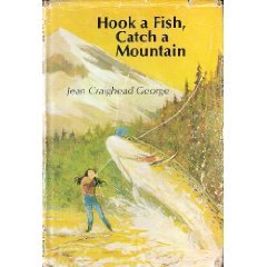 Hook a Fish, Catch a Mountain (Hardcover)