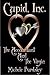 The Accountant and the Virgin (Cupid, Inc., #1)