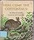 Here Come the Cottontails! by Alice E. Goudey