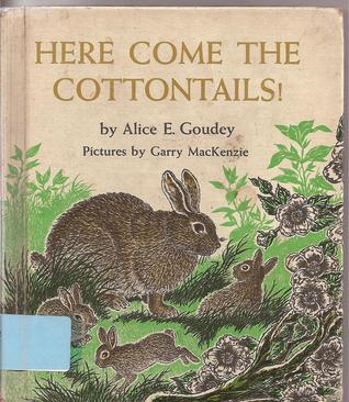 Here Come the Cottontails! (Hardcover)