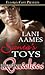 Santa's Toys (Sinclair Stor...