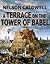 A Terrace On The Tower Of B...