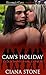 Cam's Holiday (Cougar Challenge, #7)