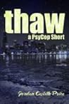 Thaw by Jordan Castillo Price