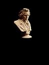 Multimedia Beethoven: The Ninth Symphony