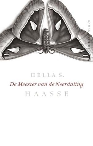De Meester van de Neerdaling (Hardcover)