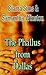 The Phallus from Dallas by Ciarra Sims