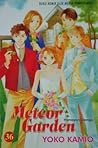 Meteor Garden
