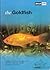 The Goldfish