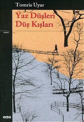 Yaz Düşleri Düş Kışları (Paperback)