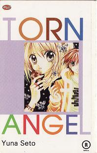 Torn Angel (Paperback)