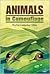 Animals in Camouflage by Phyllis Limbacher Tildes