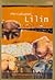 Percakapan Lilin: kumpulan puisi