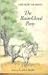 The Rain-Cloud Pony
