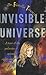Invisible Universe