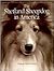 The Shetland Sheepdog in America