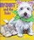 McDuff and the Baby by Rosemary Wells