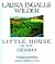 Little House in the Ozarks:...