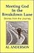 Meeting God in the breakdown lane by Al Anderson