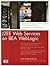 J2ee Web Services On Bea Weblogic