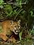 Environment: Problems and S...