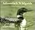 Adirondack Wildguide: A Natural History of the Adirondack Park