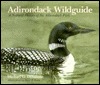 Adirondack Wildguide: A Natural History of the Adirondack Park