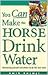 You Can Make the Horse Drink Water: Motivating Yourself and Others to do the Best Work