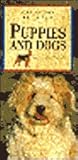 Puppies and Dogs (Caring for Your Pet Series)