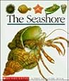 The Seashore (First Discovery Books)