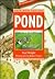 Pond by Paul   Wright
