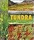 Tundra: The Barren Wilderness