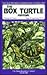 The Box Turtle Manual (Herpetocultural Library, The)