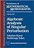 Algebraic Analysis of Singular Perturbation Theory (IWANAMI SERIES IN MODERN MATHEMATICS: TRANSLATIONS OF MATHEMATICAL MONOGRAPHS, 227)