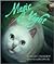 Magic Night (Picture Book)