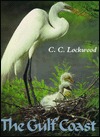 Gulf Coast: Where Land Meets Sea (Hardcover)