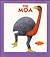 The Moa (The Extinct Species Collection)
