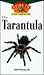 The Tarantula: An Owner's Guide to a Happy, Healthy Pet